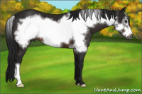 Horse Color:Gray Brown Frame 