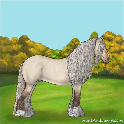 Horse Color:Silver Bay Roan Dun 