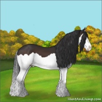 Horse Color:Brown Splash