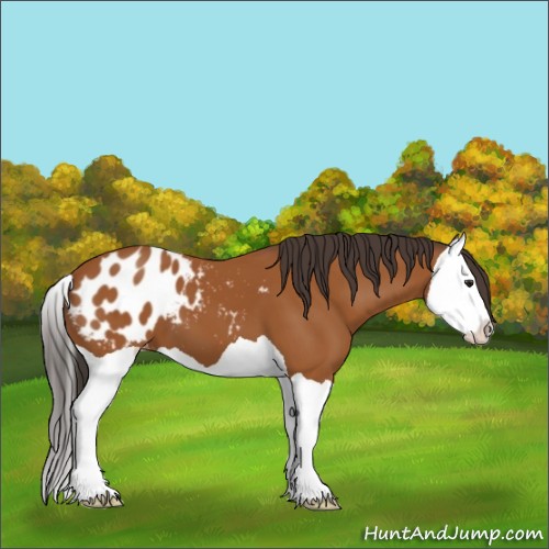 Horse Color:Brown Splash Blanket 