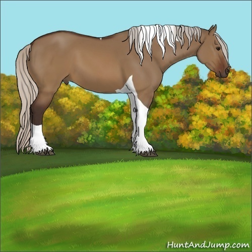Horse Color:Silver Brown Dun Tobiano 
