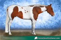 Horse Color:Silver Brown Tobiano 