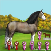 Horse Color:Liver Red Dun Splash Brindle