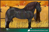 Horse Color:Midnight Chocolate Brown Chinchilla Dun 