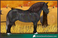 Horse Color:Midnight Chocolate Brown Chinchilla Dun