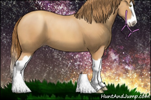 Horse Color:Gold Champagne Splash