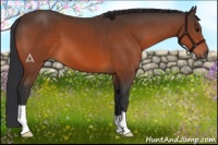 Horse Color:Brown 