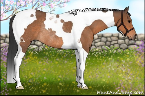 Horse Color:Bay Tobiano Rabicano 