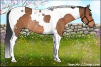 Horse Color:Bay Tobiano Rabicano 