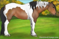 Horse Color:Bay Tobiano 
