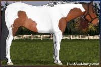 Horse Color:Bay Tobiano Rabicano 