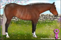 Horse Color:Gray Silver Bay Rabicano 