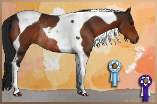 Horse Color:Gray Brown Tobiano Rabicano 