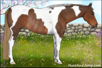 Horse Color:Gray Chestnut Tobiano Rabicano