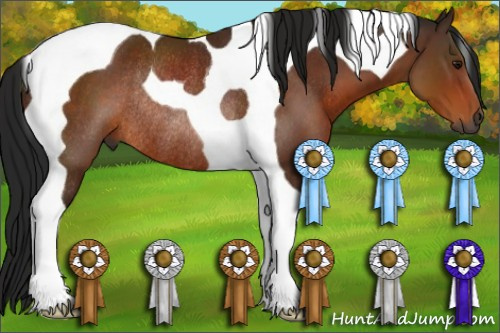 Horse Color:Gray Bay Tobiano Rabicano