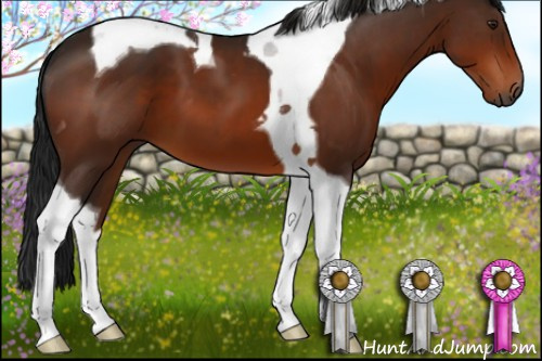 Horse Color:Gray Brown Tobiano 