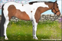 Horse Color:Bay Tobiano Rabicano 