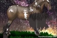 Horse Color:White Spotted Buckskin