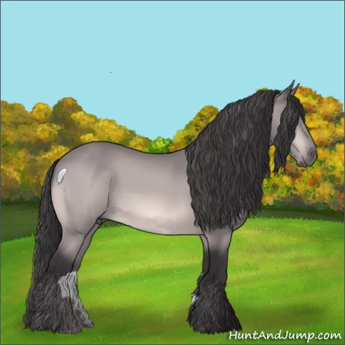 Horse Color:Platinum Buckskin 