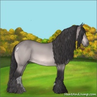 Horse Color:Platinum Buckskin 