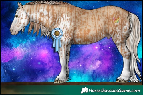 Horse Color:Gray Gold Champagne Splash  and Gray Silver Classic Champagne Dun Splash 