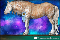 Horse Color:Gray Gold Champagne Splash and Gray Silver Classic Champagne Dun Splash