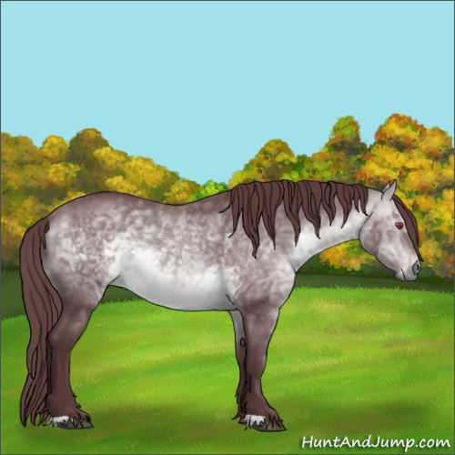Horse Color:Chocolate Bay Chinchilla Dun