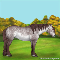 Horse Color:Chocolate Bay Chinchilla Dun