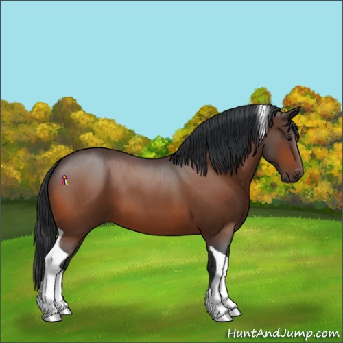 Horse Color:Bay Roan Tobiano