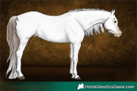 Horse Color:Gray White Spotted Grullo Pearl Snowflake Varnish 