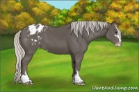Horse Color:Silver Smoky Black Sabino Blanket 