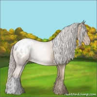 Horse Color:Chocolate Palomino Pearl Appaloosa 