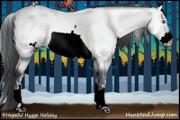 Horse Color:White Spotted Bay Chinchilla 