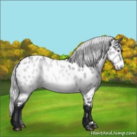 Horse Color:Silver Brown Chinchilla Roan Dun Frame Appaloosa Rabicano 