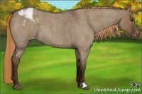 Horse Color:Liver Red Dun Roan Varnish 