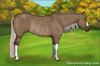 Horse Color:Silver Brown Dun Rabicano 