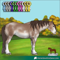 Horse Color:White Spotted Classic Champagne Splash 