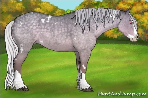 Horse Color:White Spotted Silver Grullo Chinchilla Roan Splash