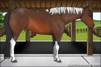 Horse Color:Brown Tobiano Rabicano