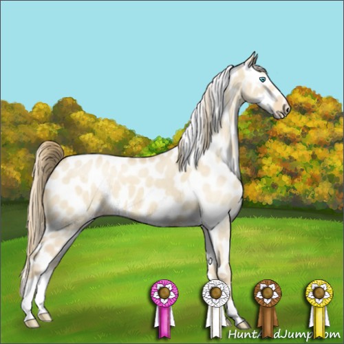 Horse Color:Perlino Dun Leopard