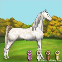 Horse Color:Perlino Dun Leopard