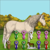 Horse Color:Perlino Appaloosa 