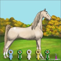 Horse Color:Perlino Snowflake Varnish