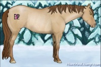 Horse Color:Brown Pearl Dun Rabicano