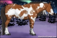 Horse Color:White Spotted Bay Frame 