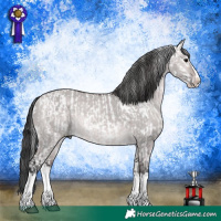 Horse Color:Platinum Silver Grullo Sabino Splash Appaloosa and Platinum Brown Dun Sabino Splash