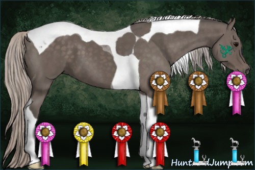 Horse Color:Silver Black Tobiano