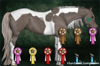 Horse Color:Silver Black Tobiano