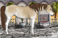 Horse Color:Gray White Spotted Red Dun 