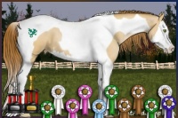 Horse Color:Bay Pearl Dun Splash Tobiano
